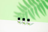 Centella Blending Powder - 10g