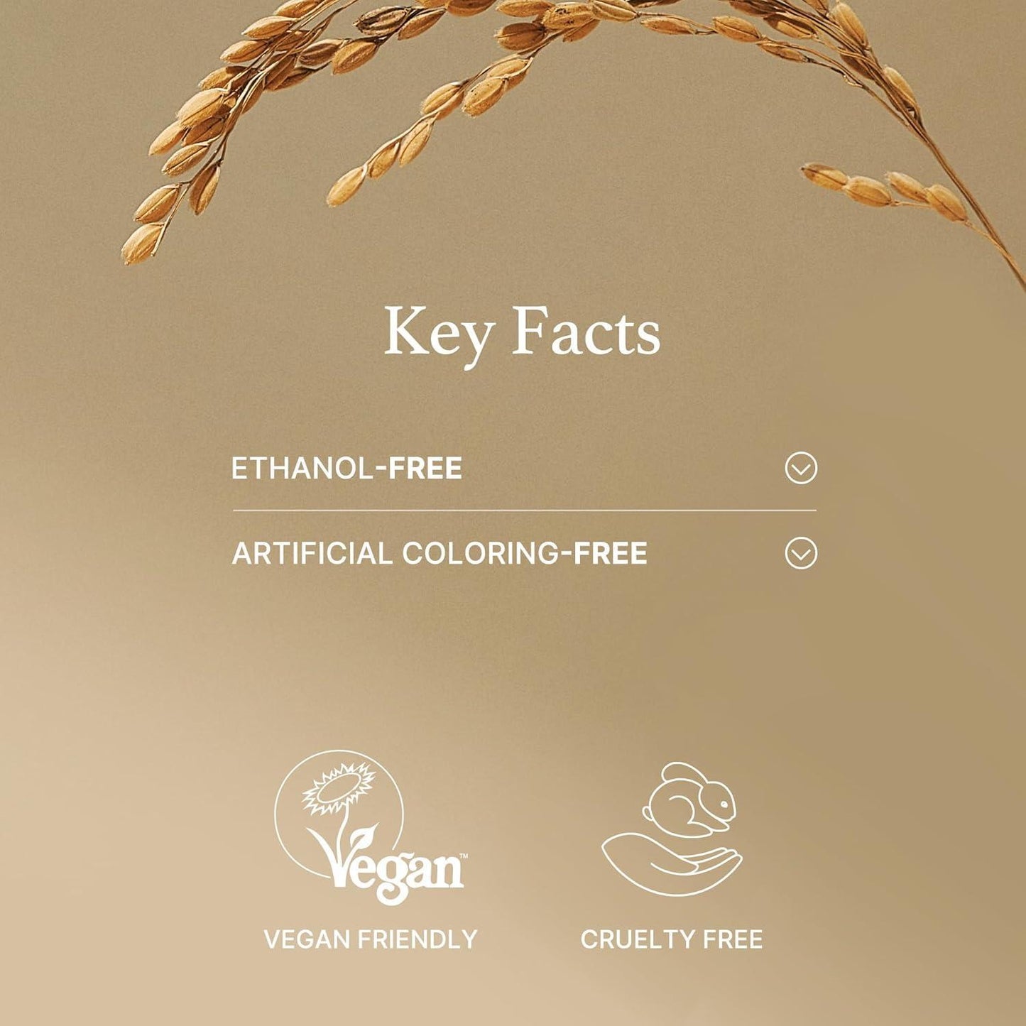 Rice Mask 110g