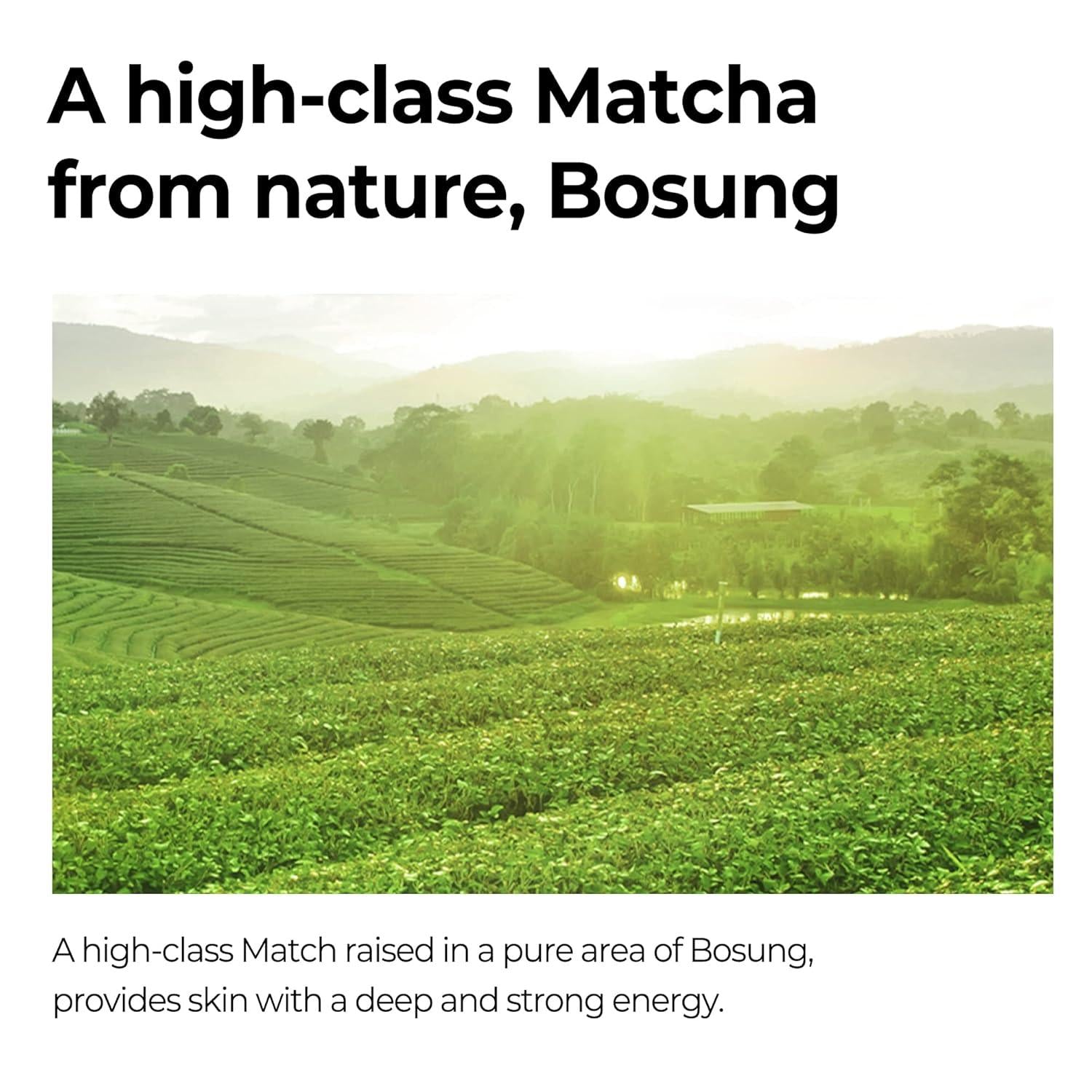 Super Matcha Pore Tightening Serum 50ml