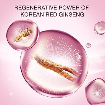 Red Ginseng Daily Defense Cream 25ml